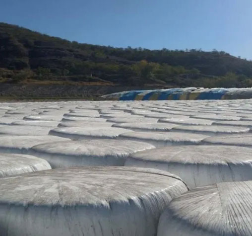 轉(zhuǎn)貸續(xù)保順理成章 各方加力一氣呵成——甘肅金控慶陽擔(dān)保公司聚焦臨期業(yè)務(wù)處理